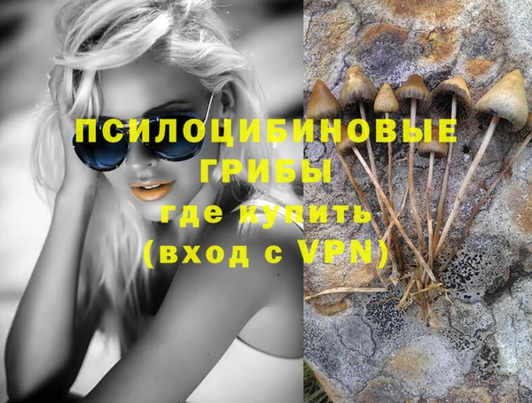 ешки Армянск