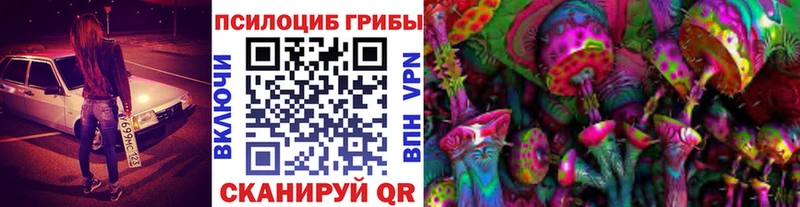 Галлюциногенные грибы прущие грибы  Приозерск 