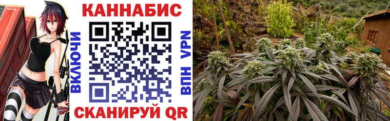 МАРИХУАНА White Widow OMG ONION Приозерск
